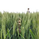 상명대학교 상담대학원 이미지