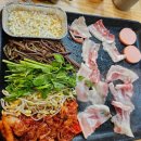 도새기1982 이미지