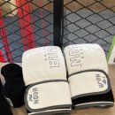 올스타 복싱클럽 이미지