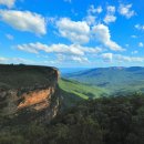 블루마운틴 이미지