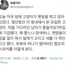 오늘 약국 앞에 고양이가 햇빛을 쬐고 앉아있었다. 이미지