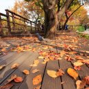 금지순환길 이미지