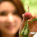 무야 이미지