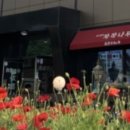 아트밸리자작나무 이미지