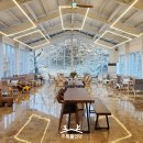 언덕카페 이미지