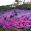 영우축산 이미지