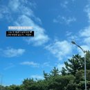 (주)제주현대렌트카 네이버블로그