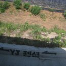 YJ펜션(고운산장) 이미지