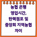 농협 은행 영업시간, 탄력점포 및 중앙회 지역농협 차이