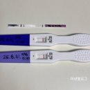 드림산부인과의원 이미지