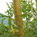 대구운암초등학교 이미지