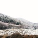 문경새재황토민박 이미지