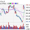 (주)마제스타 마제스타카지노 이미지
