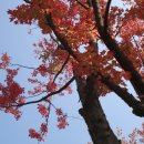 선도식당 이미지