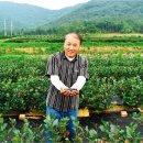 금광영농조합법인 이미지