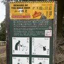 뿌꾸나라 이미지