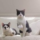 경북기계공업고등학교 이미지