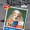 멍냥잡화점 | 🍗 성수동에 떴다! 장하다 하림 맥시칸 팝업스토어 완벽 가이드