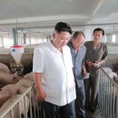 돼지농장 이미지