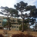 형주병원 이미지