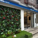 한복 프로필 지지배배 스튜디오에서 촬영한 후기