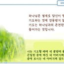 일일예화말씀묵상 2025년 2월 19일 (수) - 하나님과 동행인 기도 이미지