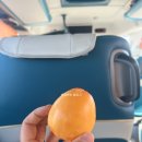 천진마을 | 태항산 4박 5일 패키지 여행 1일차 제이에스투어 - 천진공항 광부고성 고부리만두
