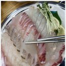 속초오징어어시장 안산고잔점 네이버블로그