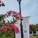 [국립광주박물관] 도자기, 풍류를 품다