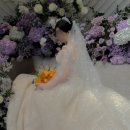 엘리에나호텔 이미지