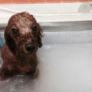 그루밍박스 이미지