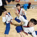 한국체대승리태권도 | [하남시태권도]하남시 품새선수권대회_창우동 한국체대 숨 태권도장 시범단 출전 및 결과