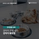 더블유동물의료센터 이미지