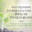 드리다
