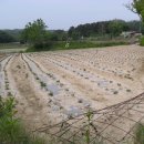 대월면-01 이미지