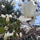 한양아파트 내 이미지