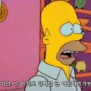 열두척 | 열두번째 일상, 땀과 도파민에 절여진 6월