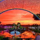 내가그린사과그림체험행사 이미지