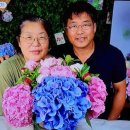 그린축산영농조합법인 이미지