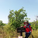 홍동산 Daum카페