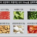 CoQ10(코엔자임큐텐)"의 중요성 이미지