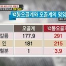 백봉 오골계 병아리 판매 이미지