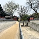 뿌리깊은우리역사 이미지