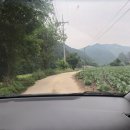 도그밀리 이미지
