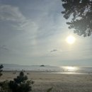 목련나무집 이미지