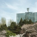 중앙대학교 커뮤니케이션대학원 이미지