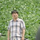 힐링 영화 '싸나희 순정' 상세 줄거리 결말 후기 평점 정보 | 대책 없는 시인과 순박한 농부 | 코미디...