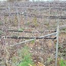 춘수농장 이미지