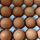 봉골농장 이미지