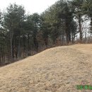 신호 묘 이미지